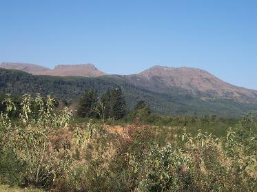 Hogsback mountains